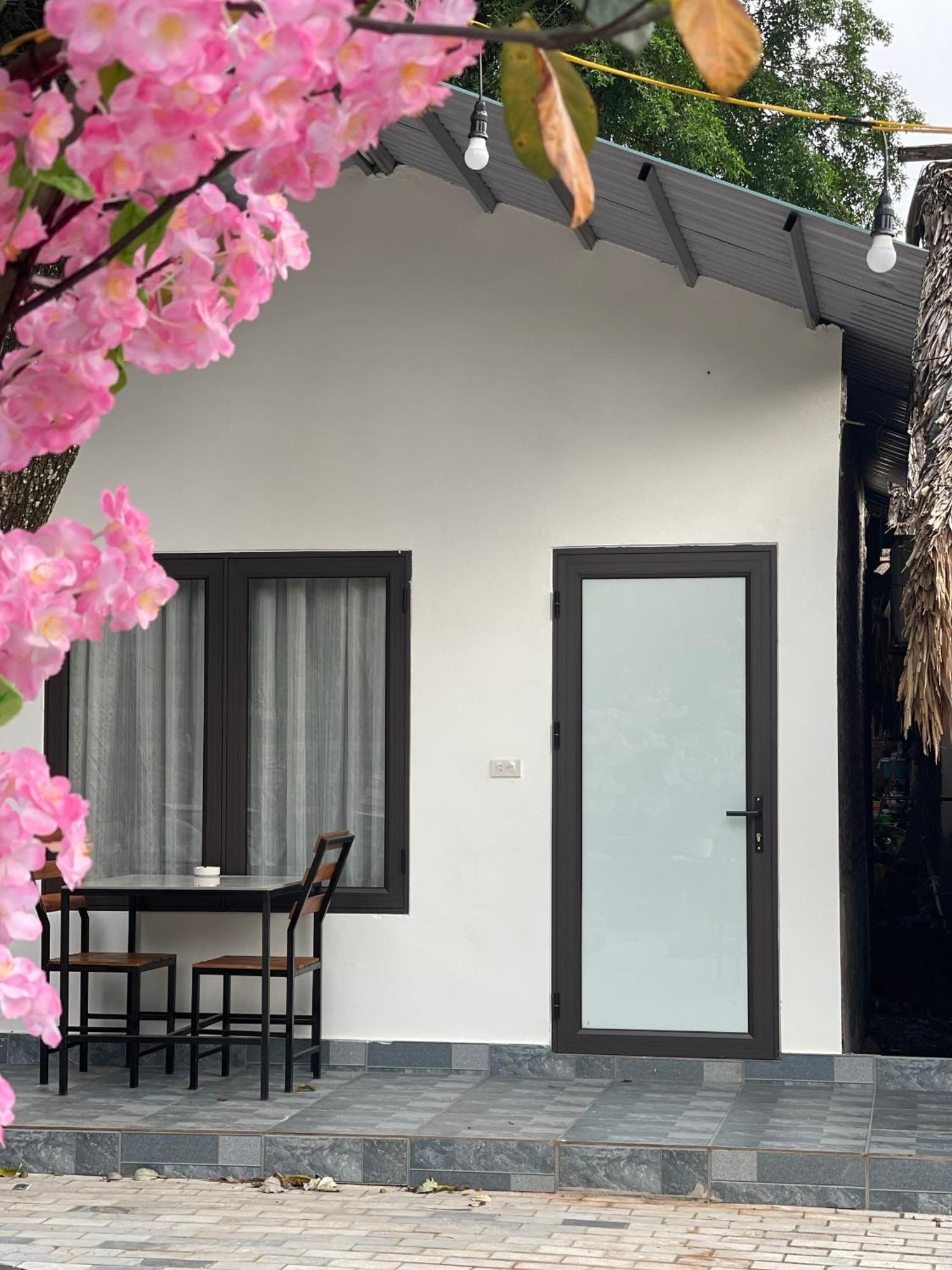 Tam Coc Serene Bungalow Ninh Binh Exterior foto