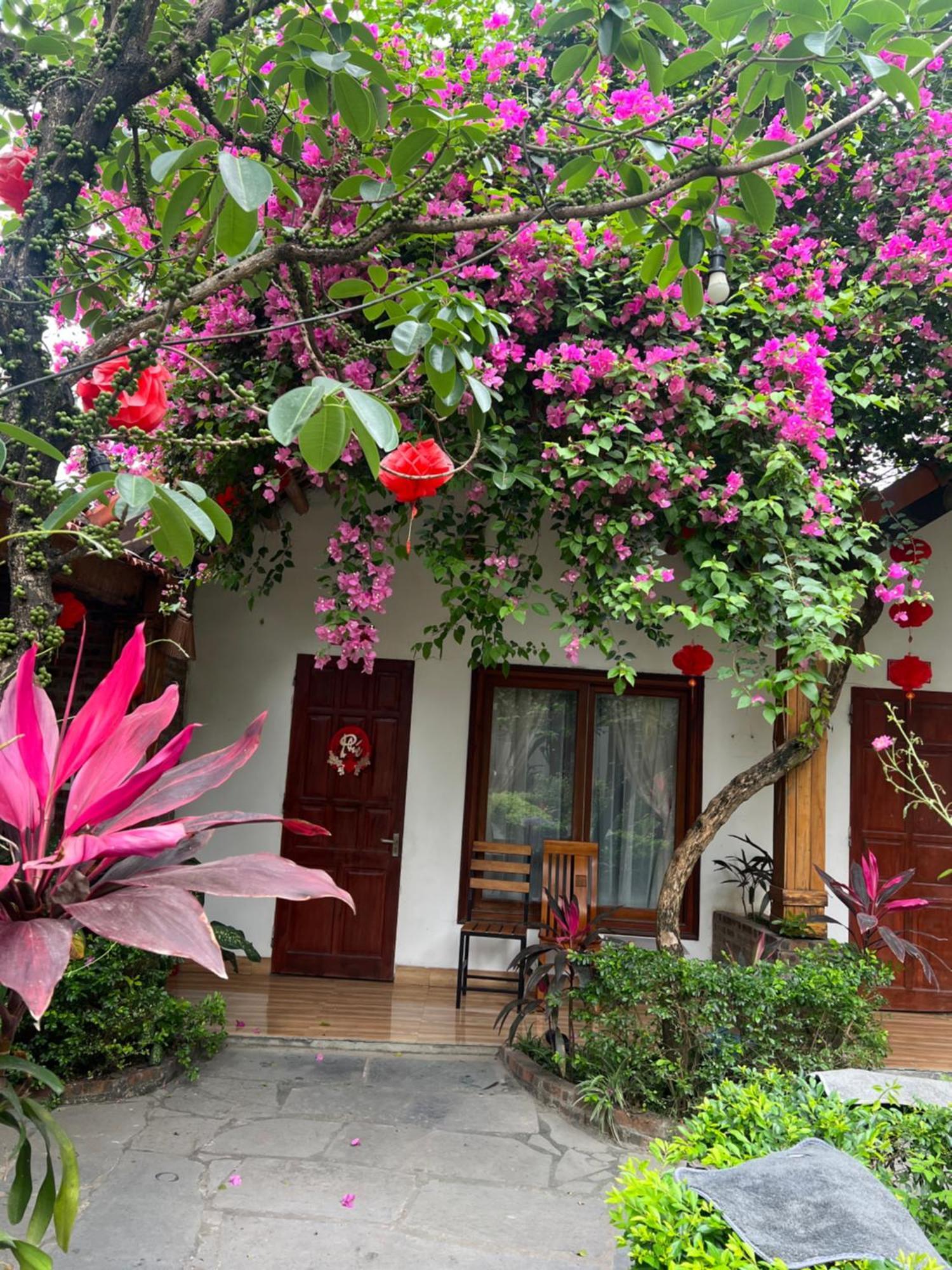 Tam Coc Serene Bungalow Ninh Binh Exterior foto